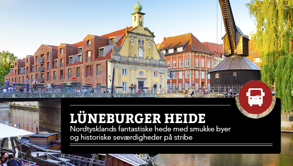 L�neburger Heide