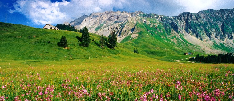 Schweiz - Vierwaldst�ttersee