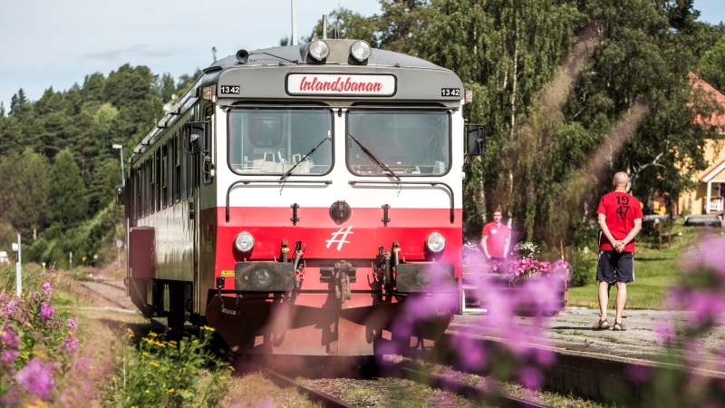 Inlandsbanen fra V�rmland til Lapland, midnatssol over Polarcirklen